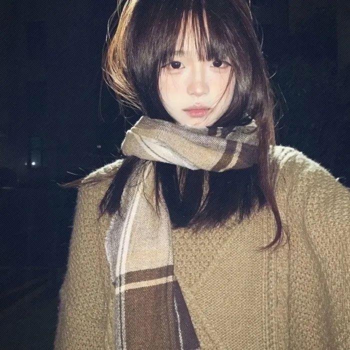 惩戒者